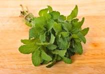 FRESH MINT BUNCH 1 PC