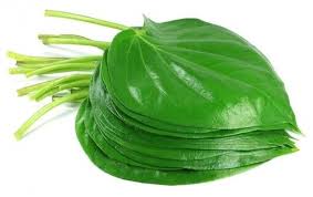 FRESH BETEL LEAVES (8-10) PCS