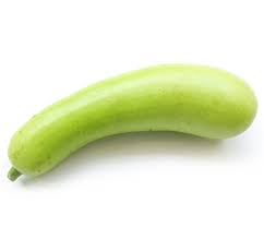 FRESH BOTTLE GAURD(LONG MELON) KG