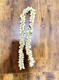 FRESH JASMINE FLOWER 1 MT