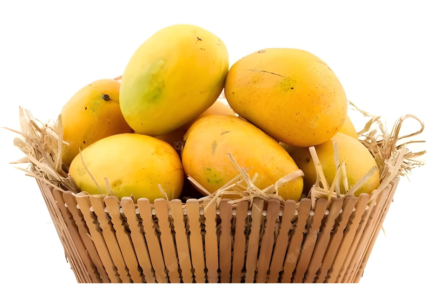 KESAR MANGOES KG