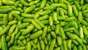 FRESH TINDORA KG