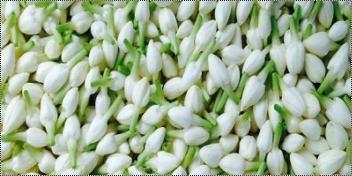 LOOSE FLOWER WHITE KG