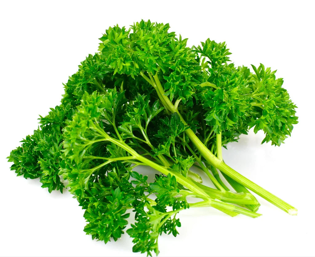 FRESH PARSLEY