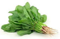 FRESH SPINACH BUNCH 1 PC