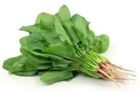 FRESH SPINACH BUNCH 1 PC