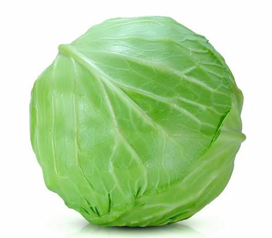 FRESH CABBAGE KG