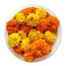 FRESH MARIGOLD 100G