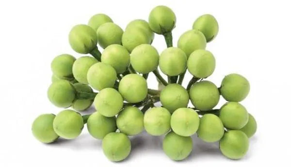 FRESH CHUNDAKKAI TURKISH BERRY KG