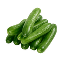 FRESH CUCUMBER KG