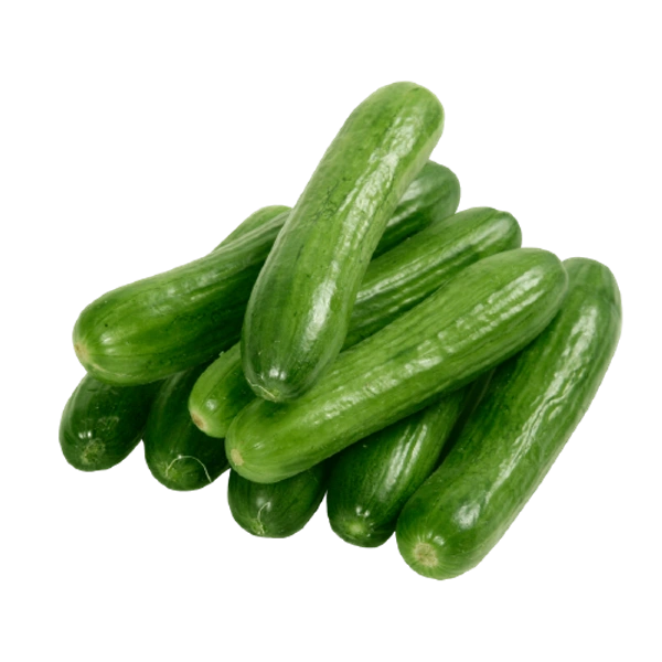 FRESH CUCUMBER KG