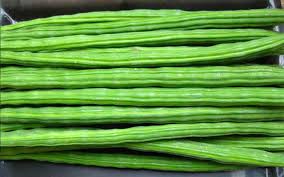 FRESH DRUMSTICK KG