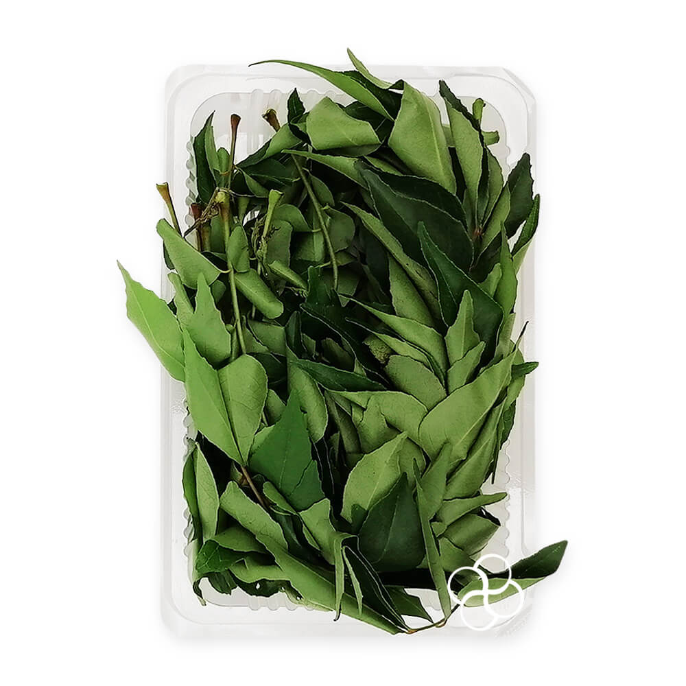 FRESH CURRY LEAVES 1 PACK