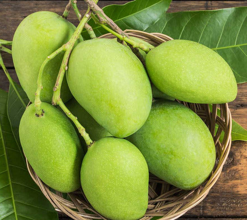 FRESH GREEN RAW MANGO KG