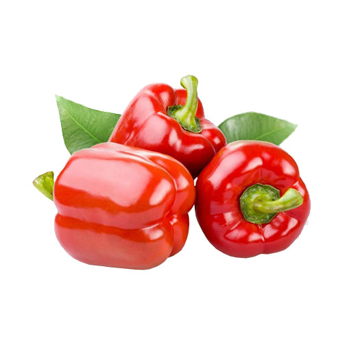 FRESH RED CAPSICUM KG