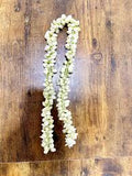 FRESH JASMINE FLOWER 1 MT